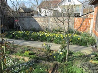 98ff8563-Picture 1435.jpg